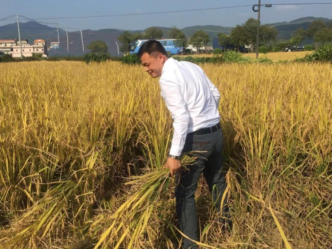 謝沃根積極參與鄉(xiāng)村建設(shè)，保護(hù)與開發(fā)舊村落，帶動(dòng)村民增收致富，助力鄉(xiāng)村振興