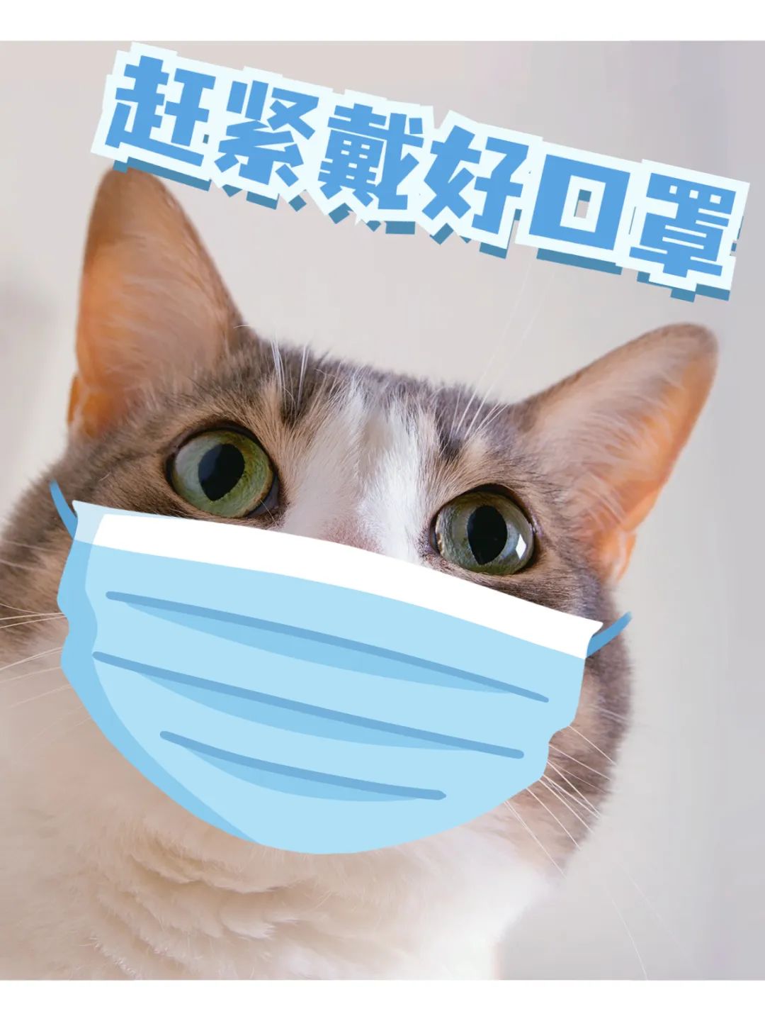 防疫疫情居家生活分享簡(jiǎn)約風(fēng)plog模板 (1).jpg 圖片