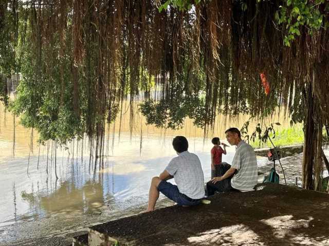 村民在大榕樹下乘涼聊天，黃姨（中）在岸邊唱歌。伍思懿 攝 