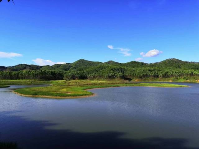 沙塘鎮(zhèn)龍眼坑水庫(kù)