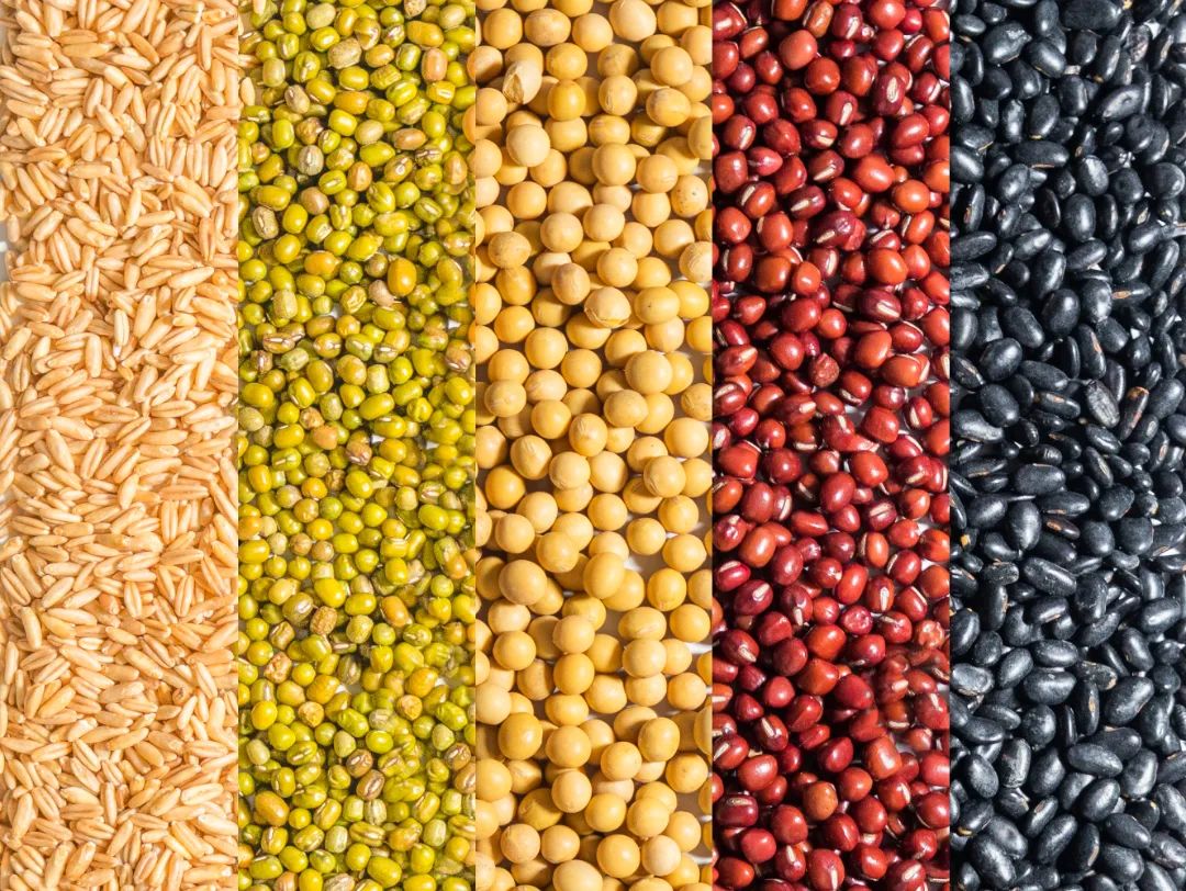 千庫網(wǎng)_五谷雜糧背景平鋪白天五谷雜糧室內(nèi)靜物攝影圖配圖_攝影圖編號228791.jpg 圖片