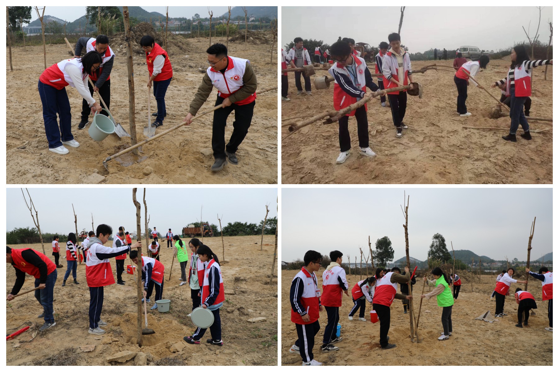 植樹(shù).jpg