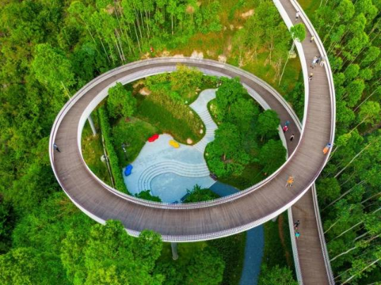 珠海紅花山森林公園。圖源：南方+ 
