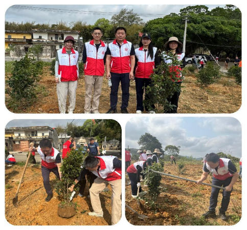 自動(dòng)轉(zhuǎn)存圖片