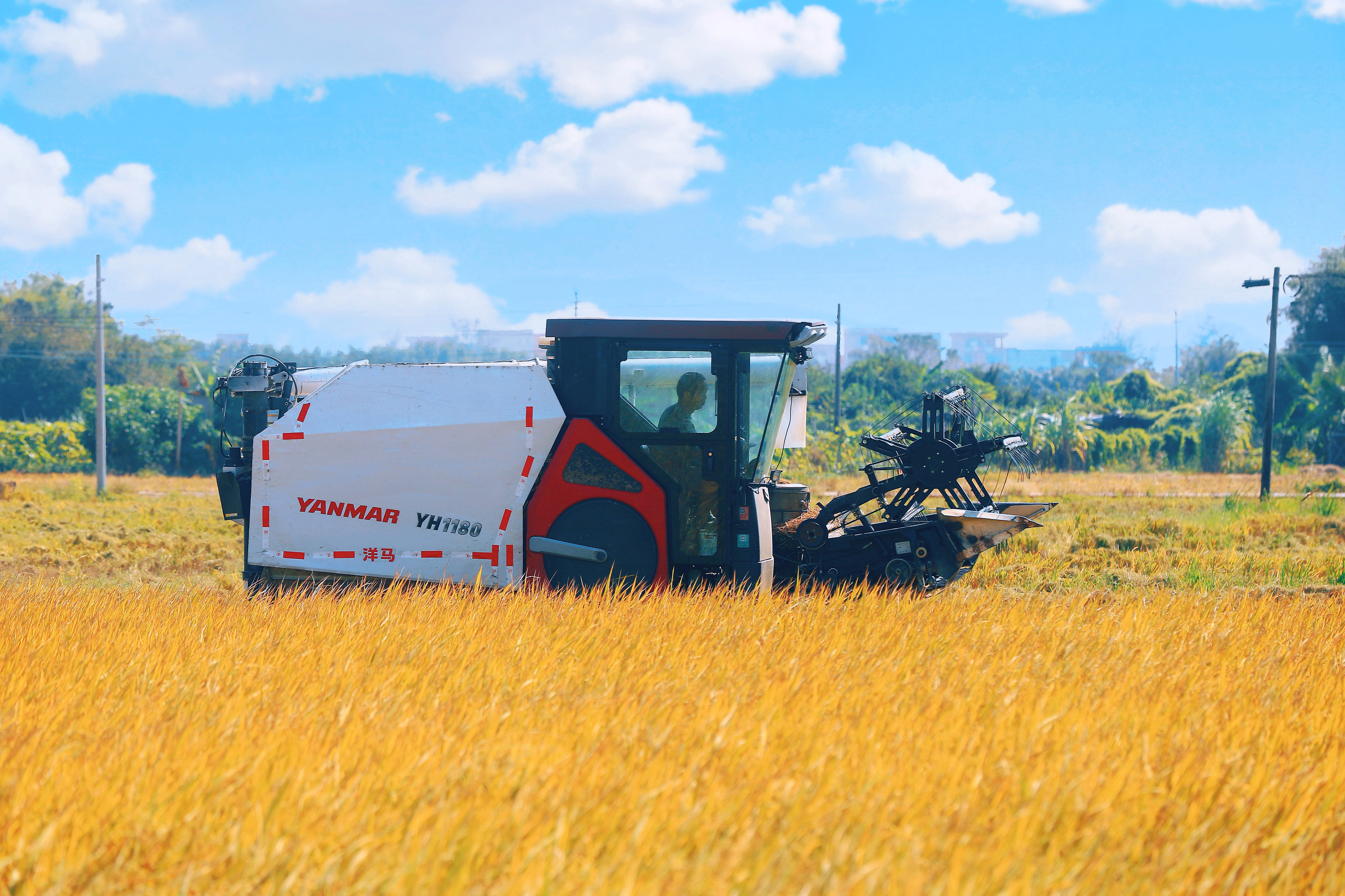 （吳瑞彬 攝） (4).jpg