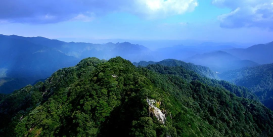 國(guó)際生物多樣性日 | 廣東物種“家底”有多厚？