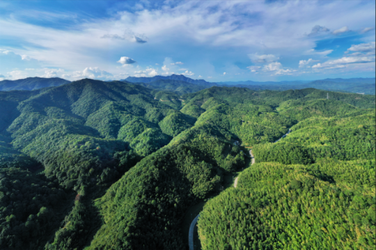 “綠色家底”為廣東林下經(jīng)濟(jì)發(fā)展奠定了扎實基礎(chǔ) 