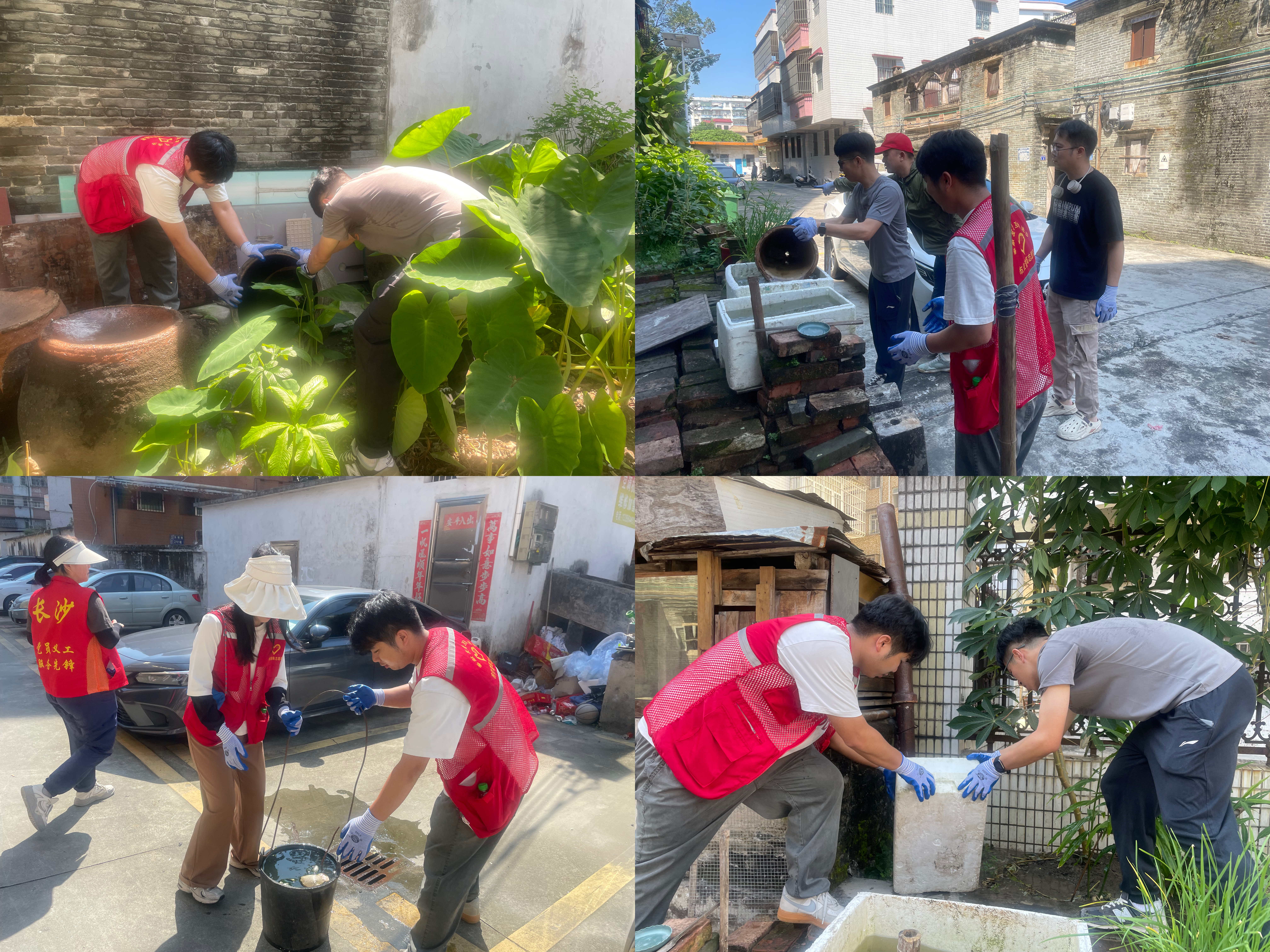 2025.07.25 防蚊滅蚊行動(dòng).jpg