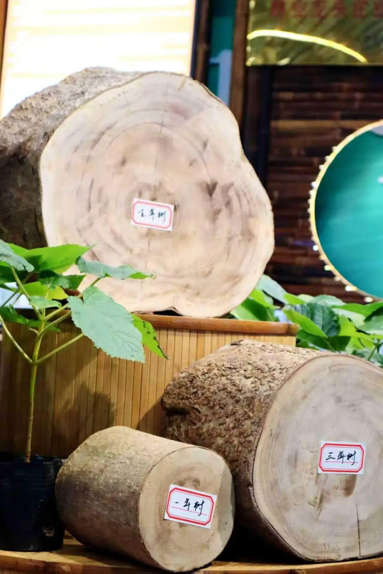 自動轉(zhuǎn)存圖片