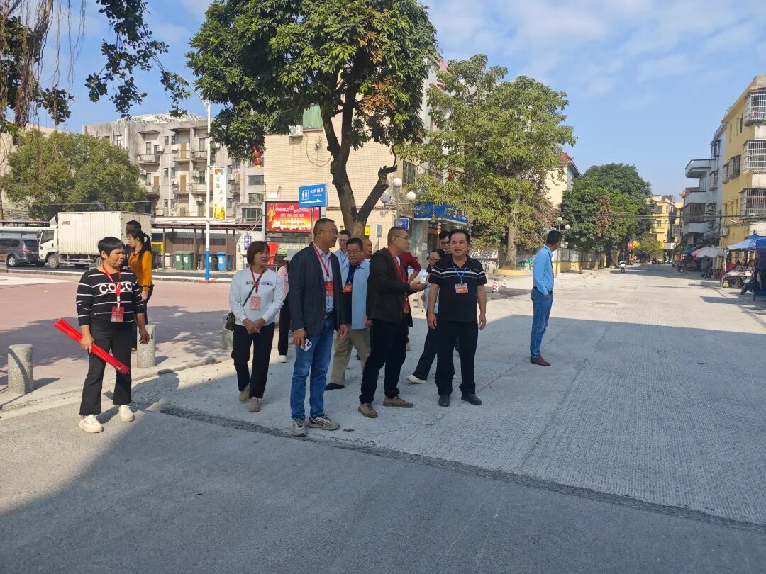 龍勝鎮(zhèn)人大組織開(kāi)展2025年第四季度人大代表視察活動(dòng)