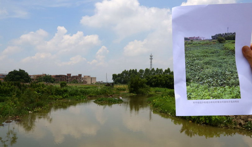 C:UsersadminDesktop20萬平方米水浮蓮占領(lǐng)轄區(qū)河渠　長(zhǎng)沙街道向污染宣戰(zhàn)55_調(diào)整大小.jpg