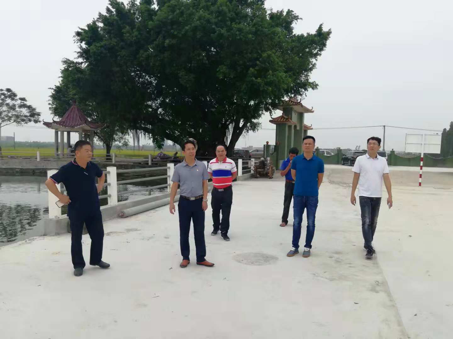 朱主任帶隊(duì)到平原督導(dǎo)三清三拆三整治工作.jpg 朱主任帶隊(duì)到平原督導(dǎo)三清三拆三整治工作.jpg