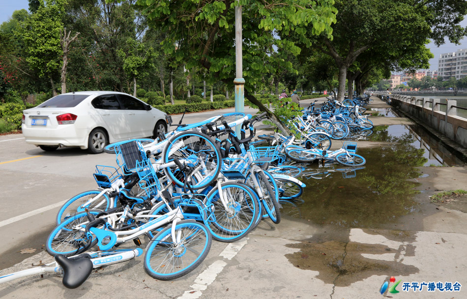 0-4 2H3A6542 - 副本 逕頭海旁共享單車亂堆放.jpg